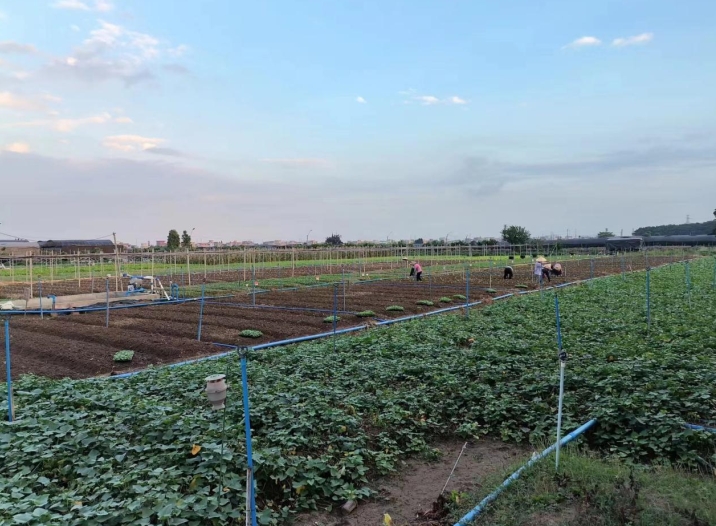 �V��ʳ�����͹�˾�v��o(w��)�������Gɫ���ЙC���߲˵ą^�e